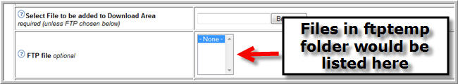 What is the FTPtemp directory or FTP option?