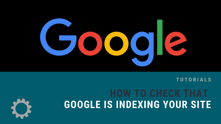 Check that Google is Indexing Your Site