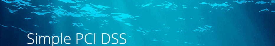 PowerPay SimplePCIDSS Compliance Questionnaire