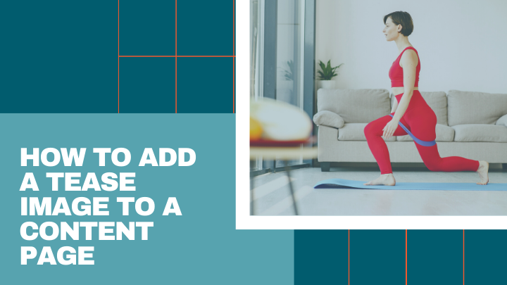 Adding Images to Teaser Copy