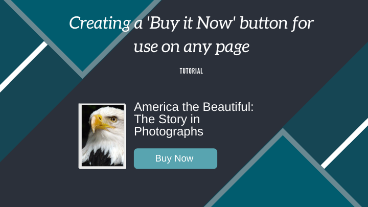 Creating a 'Buy it Now' button for use on any page