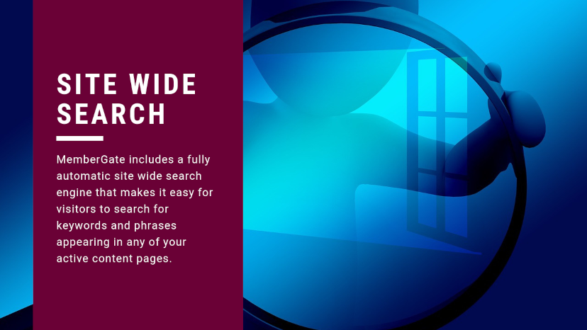 Site Wide Search