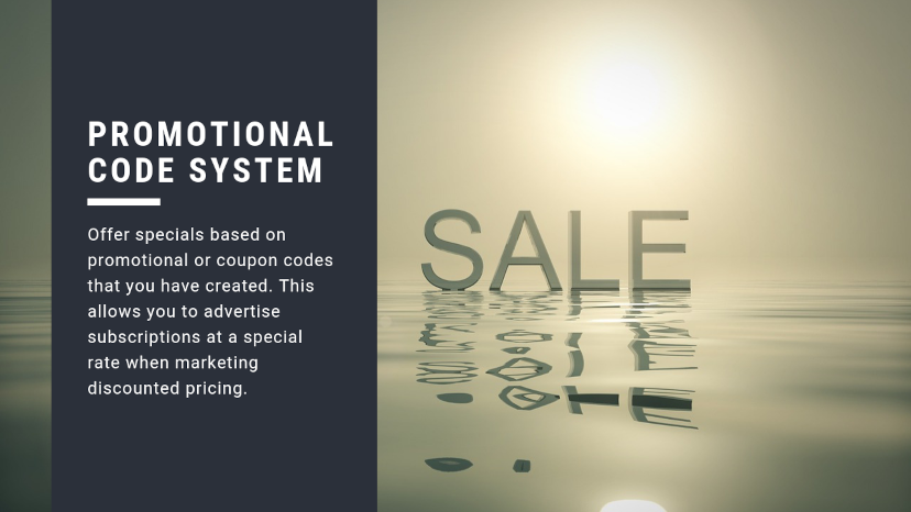 Promotional Code System