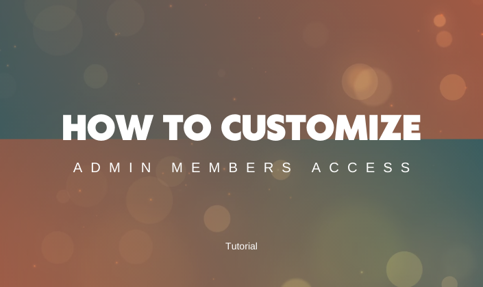 How to Set Customized Access Levels for Admin Members