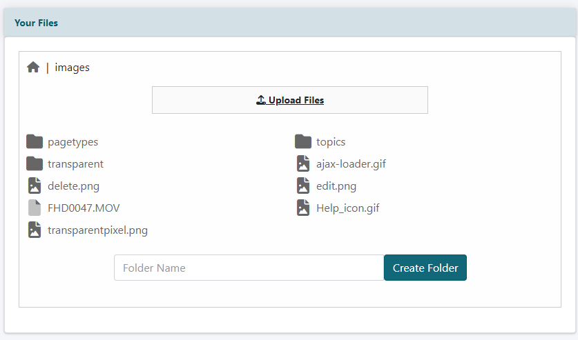How to Use the Enhanced File Manager