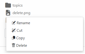 How to Use the Enhanced File Manager