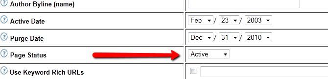 What is an RSS feed? How can I put one on my site?
