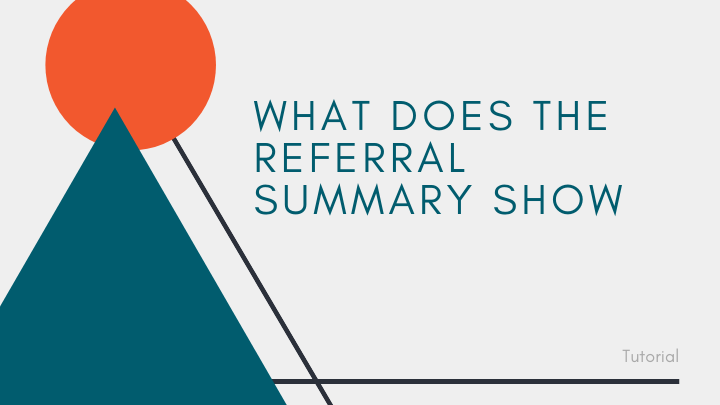 What does the 'Referral Summary' report do?