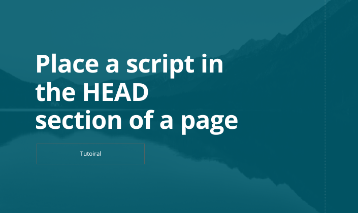 I have a script that needs to be placed in the 'head' section of the pages. Where should I place it?
