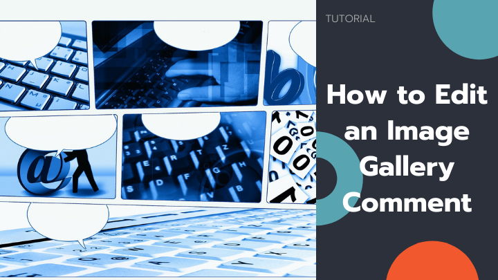 How can I edit an image gallery comment?