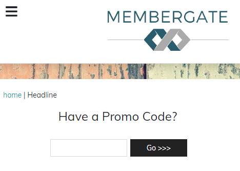 Promo Code Box