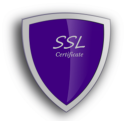 2 Year SSL certificate - SAVE $39! - $219 2 Year SSL certificate - SAVE $39! - $219