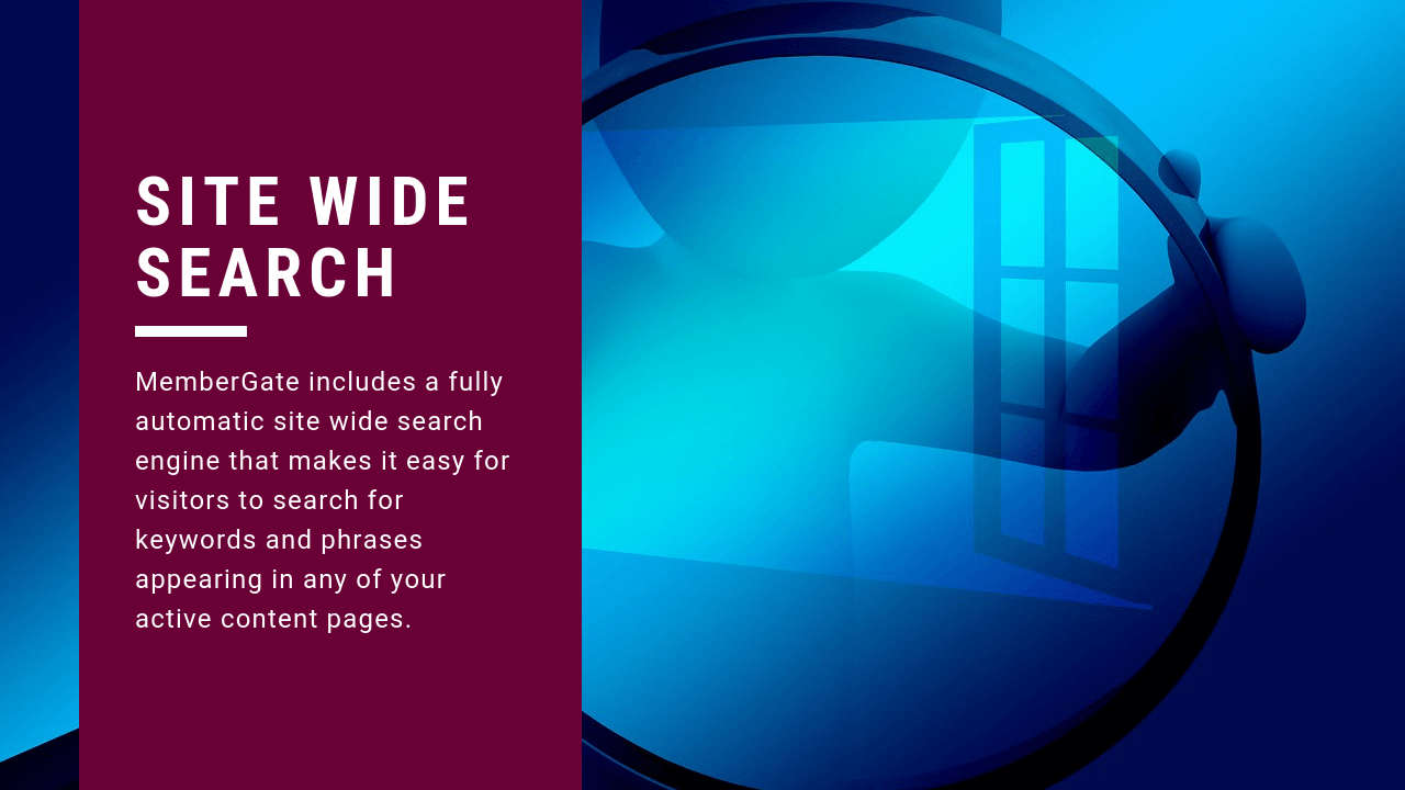 Site Wide Search