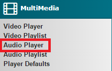 Audio Player